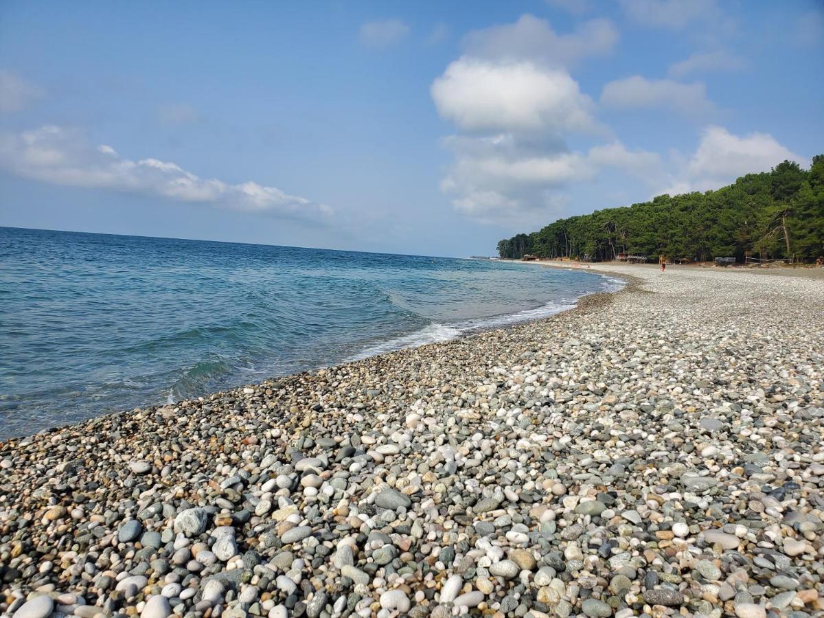 Вода в море в пицунде сейчас. Пицунда море.